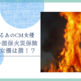 ソニー損保　火災保険のCM女優は誰！？